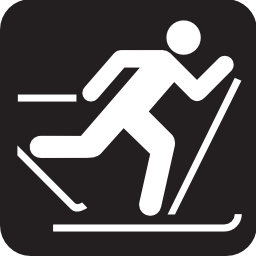 Download free sport ski cross-country icon