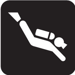 Download free sport leisure diving icon