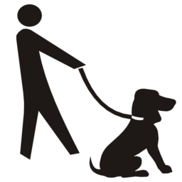 Download free dog leash icon
