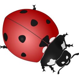 Download free red dot animal black ladybug insect icon