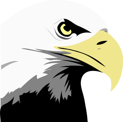 Download free animal bird eagle icon
