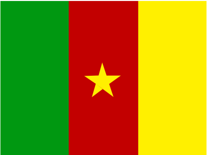 Download free flag cameroon country icon