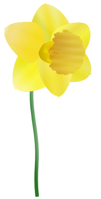 Download free yellow flower icon