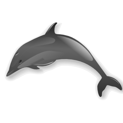 Download free animal dolphin icon