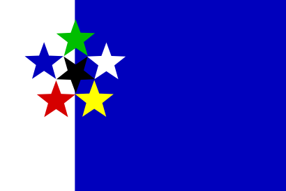 Download free flag star icon