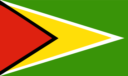 Download free flag guyane country icon