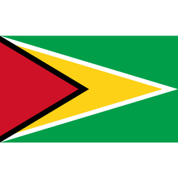 Download free flag guyana icon