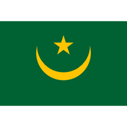 Download free flag mauritania icon