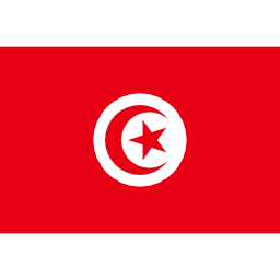 Download free flag tunisia icon