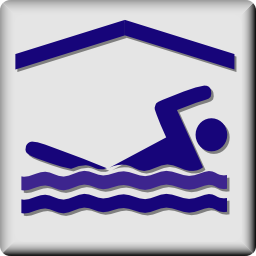 Download free human sport pool icon