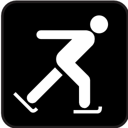Download free sport leisure skating icon