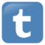 Download free network social tumblr icon