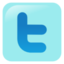 Download free network social twitter icon