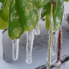 Download free weather rain frozen ice icon