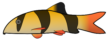 Download free fish animal icon