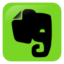 Download free network social evernote icon