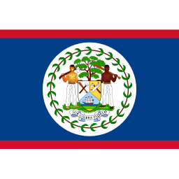 Download free flag belize icon