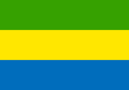 Download free flag gabon country icon
