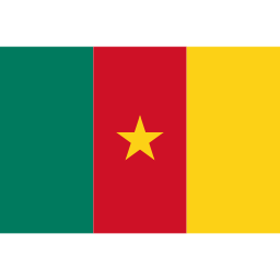 Download free flag cameroon icon