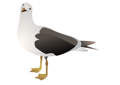 Download free animal bird icon