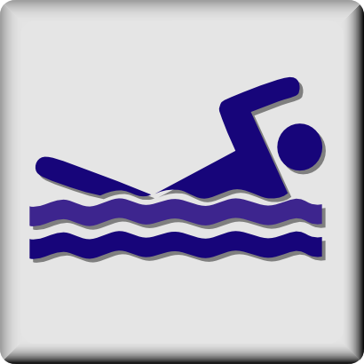 Download free human sport pool icon