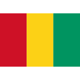 Download free flag guinea icon