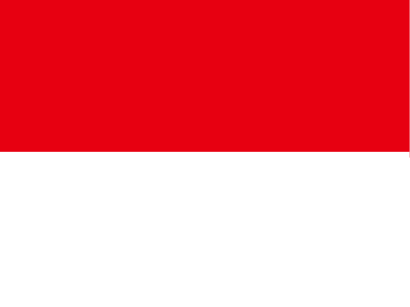 Download free flag indonesia country icon
