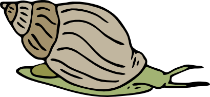 Download free animal snail icon