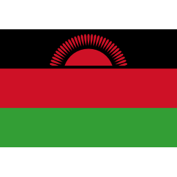 Download free flag malawi icon