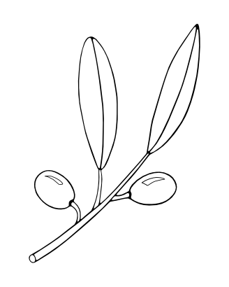 Download free sheet tree icon